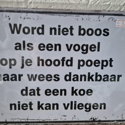 Word niet boos als een vogel op je hoofd poept