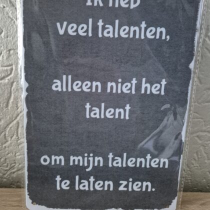 Ik heb veel talenten